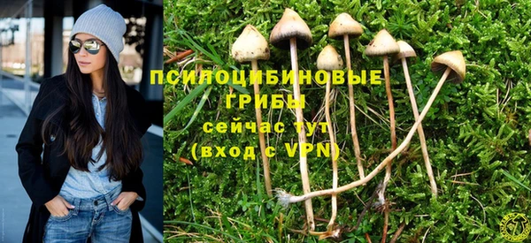 гашишное масло Волоколамск