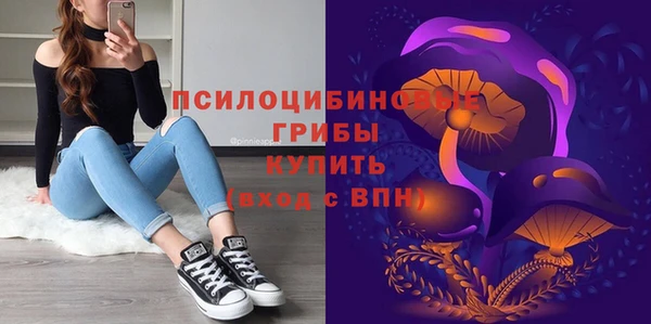 a pvp Алзамай