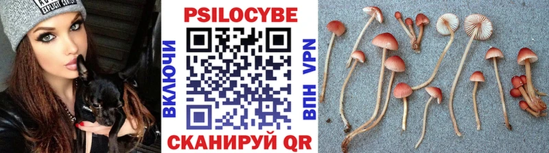 Псилоцибиновые грибы прущие грибы ОМГ ОМГ ссылка Закаменск магазин