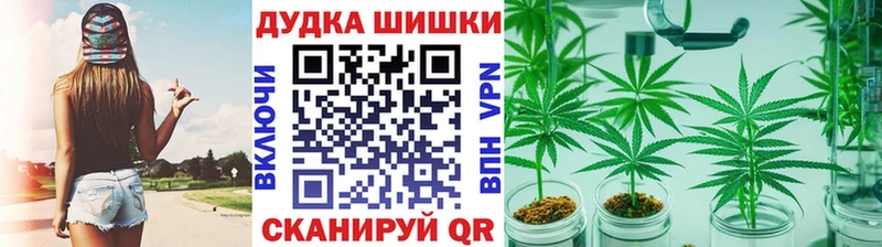 Канабис гибрид купить закладку Закаменск